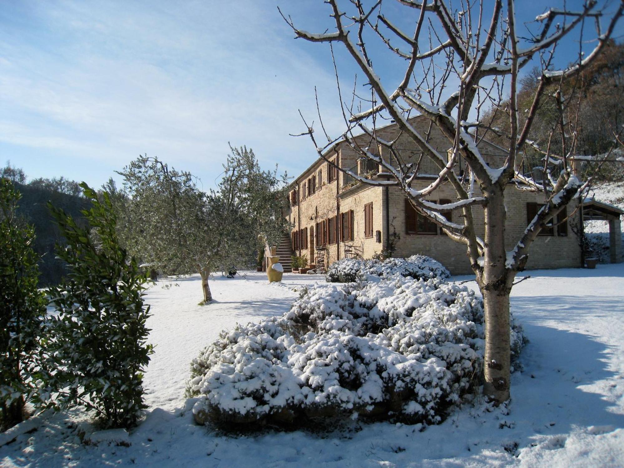 Appartement Casa Delle Sorgenti à Montefiore dellʼAso Extérieur photo